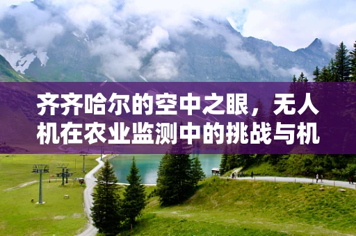 齐齐哈尔的空中之眼，无人机在农业监测中的挑战与机遇