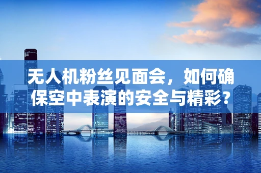 无人机粉丝见面会，如何确保空中表演的安全与精彩？