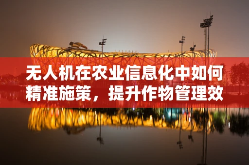 无人机在农业信息化中如何精准施策，提升作物管理效率？