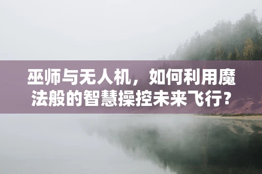 巫师与无人机，如何利用魔法般的智慧操控未来飞行？