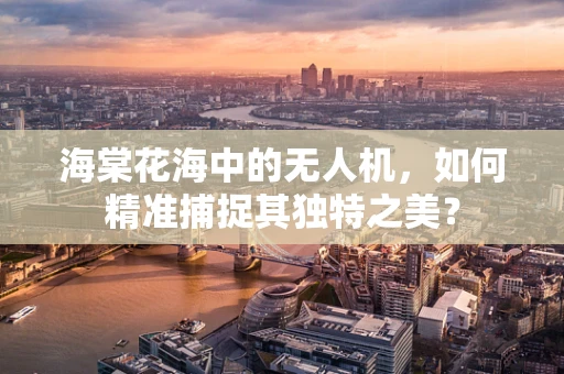 海棠花海中的无人机，如何精准捕捉其独特之美？