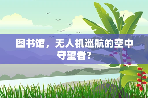 图书馆，无人机巡航的空中守望者？