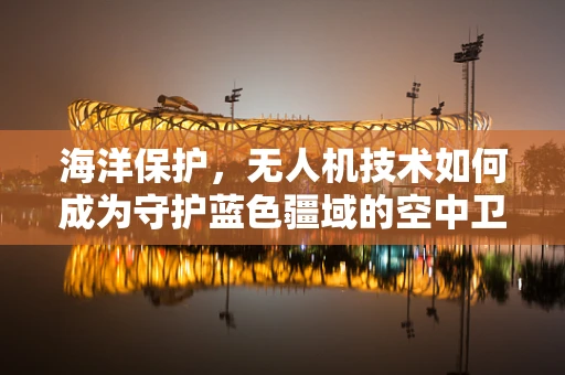 海洋保护，无人机技术如何成为守护蓝色疆域的空中卫士？
