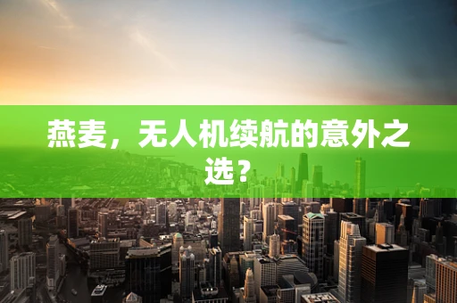 燕麦，无人机续航的意外之选？