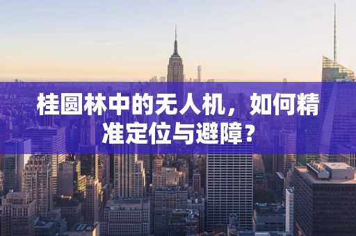 桂圆林中的无人机，如何精准定位与避障？