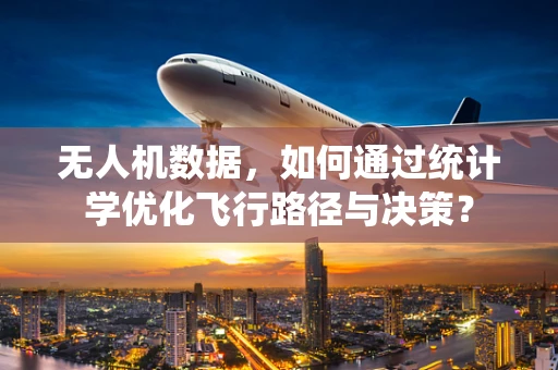 无人机数据，如何通过统计学优化飞行路径与决策？