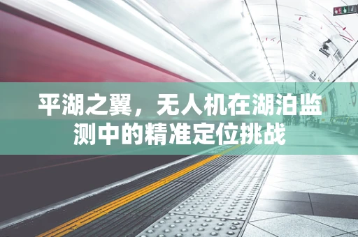 平湖之翼，无人机在湖泊监测中的精准定位挑战