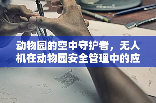 动物园的空中守护者，无人机在动物园安全管理中的应用之问