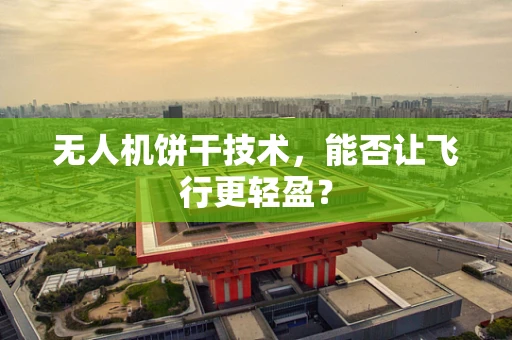 无人机饼干技术，能否让飞行更轻盈？
