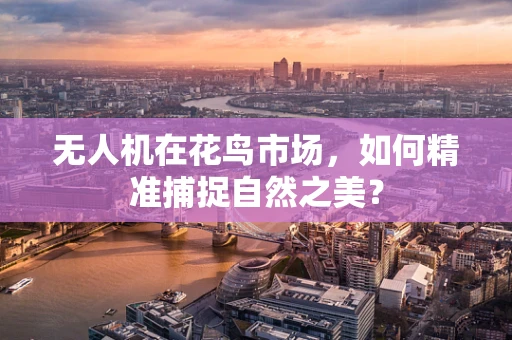 无人机在花鸟市场，如何精准捕捉自然之美？