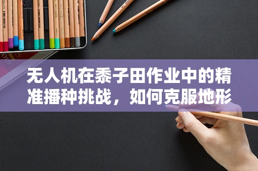 无人机在黍子田作业中的精准播种挑战，如何克服地形与作物特性的双重考验？
