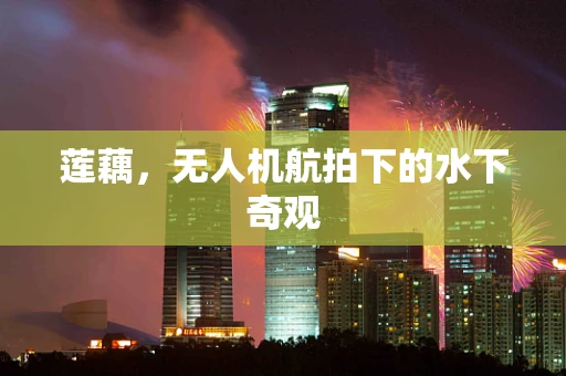 莲藕，无人机航拍下的水下奇观