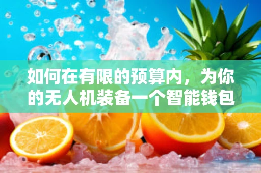如何在有限的预算内，为你的无人机装备一个智能钱包？
