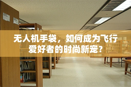 无人机手袋，如何成为飞行爱好者的时尚新宠？