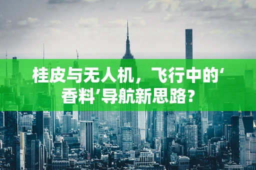 桂皮与无人机，飞行中的‘香料’导航新思路？