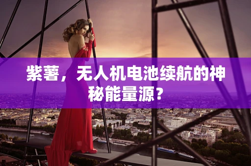 紫薯，无人机电池续航的神秘能量源？