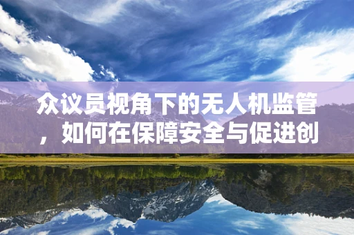 众议员视角下的无人机监管，如何在保障安全与促进创新间找到平衡？