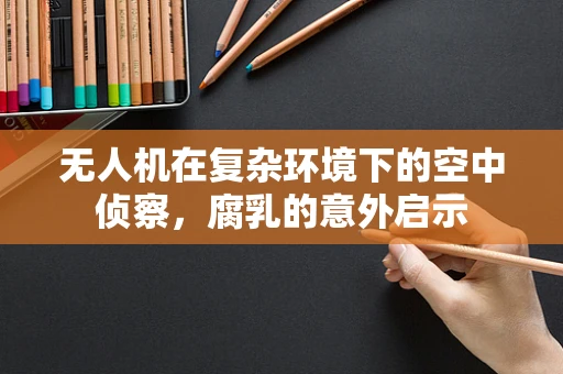 无人机在复杂环境下的空中侦察，腐乳的意外启示