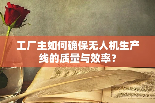 工厂主如何确保无人机生产线的质量与效率？