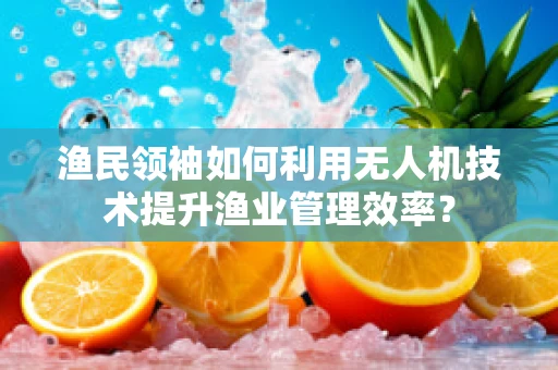 渔民领袖如何利用无人机技术提升渔业管理效率？