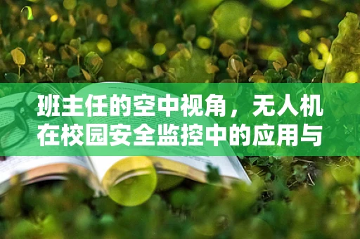 班主任的空中视角，无人机在校园安全监控中的应用与挑战