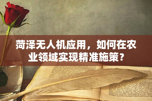 菏泽无人机应用，如何在农业领域实现精准施策？