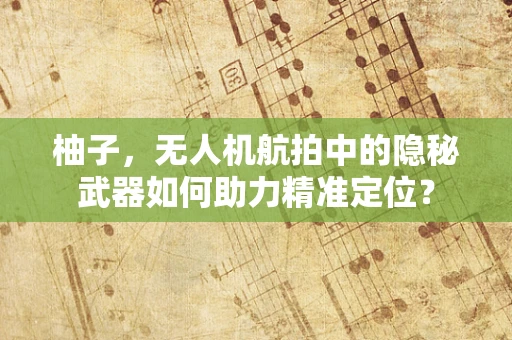 柚子，无人机航拍中的隐秘武器如何助力精准定位？