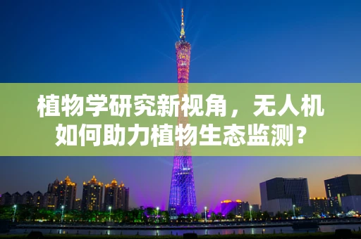 植物学研究新视角，无人机如何助力植物生态监测？