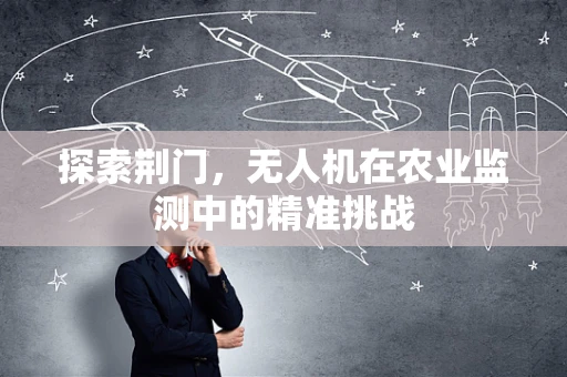 探索荆门，无人机在农业监测中的精准挑战