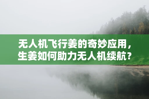无人机飞行姜的奇妙应用，生姜如何助力无人机续航？