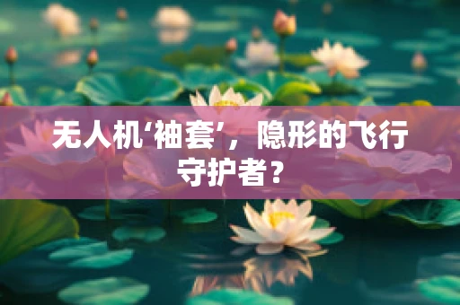 无人机‘袖套’，隐形的飞行守护者？