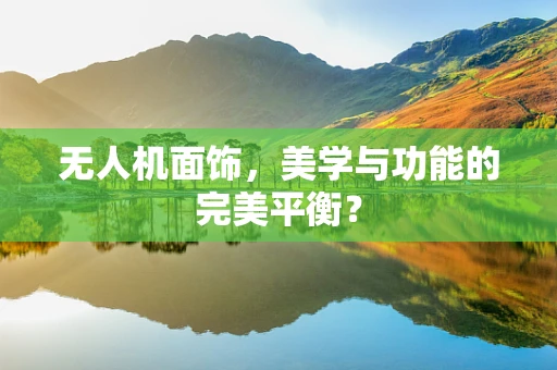 无人机面饰，美学与功能的完美平衡？