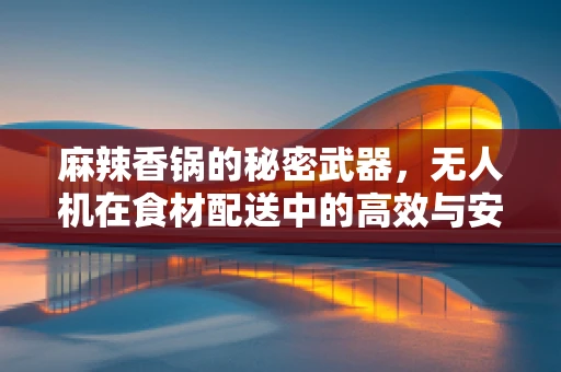 麻辣香锅的秘密武器，无人机在食材配送中的高效与安全？