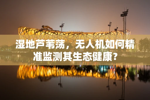 湿地芦苇荡，无人机如何精准监测其生态健康？