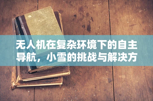 无人机在复杂环境下的自主导航，小雪的挑战与解决方案