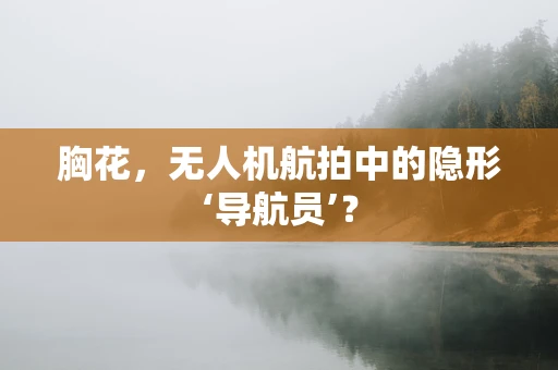 胸花，无人机航拍中的隐形‘导航员’？