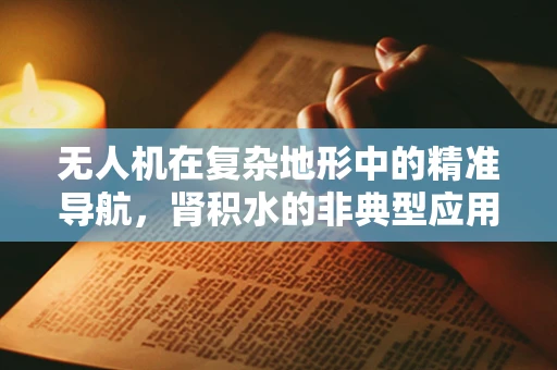 无人机在复杂地形中的精准导航，肾积水的非典型应用挑战