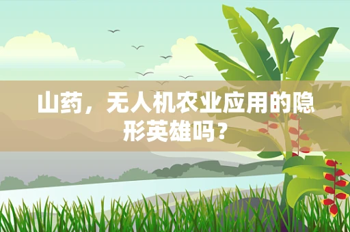山药，无人机农业应用的隐形英雄吗？