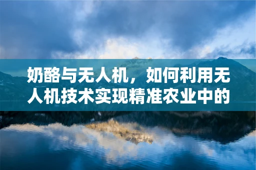 奶酪与无人机，如何利用无人机技术实现精准农业中的智能施肥？