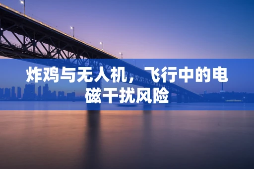 炸鸡与无人机，飞行中的电磁干扰风险