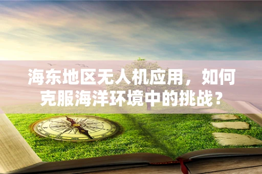 海东地区无人机应用，如何克服海洋环境中的挑战？