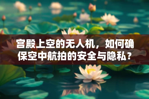 宫殿上空的无人机，如何确保空中航拍的安全与隐私？