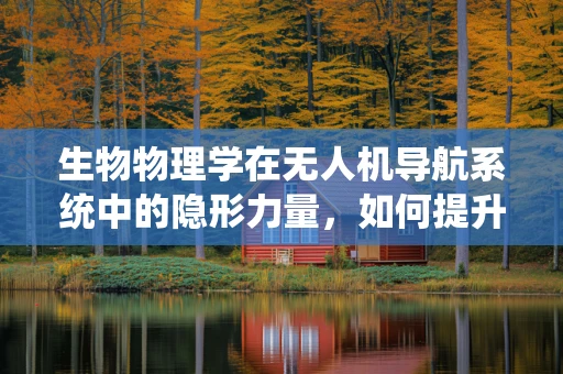生物物理学在无人机导航系统中的隐形力量，如何提升飞行稳定性和精准度？