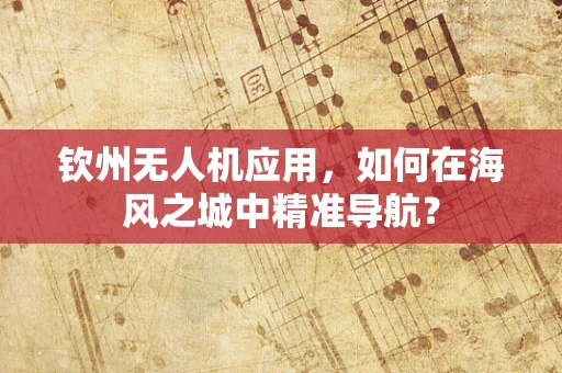 钦州无人机应用，如何在海风之城中精准导航？