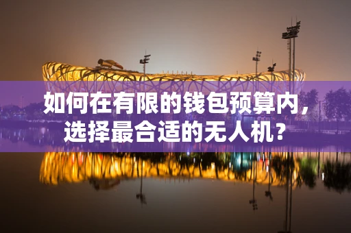 如何在有限的钱包预算内，选择最合适的无人机？