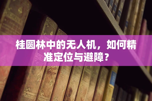 桂圆林中的无人机，如何精准定位与避障？