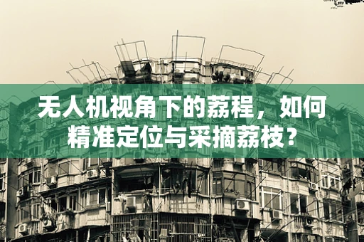 无人机视角下的荔程，如何精准定位与采摘荔枝？