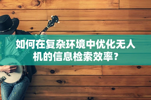 如何在复杂环境中优化无人机的信息检索效率？