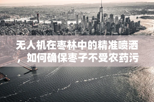 无人机在枣林中的精准喷洒，如何确保枣子不受农药污染？