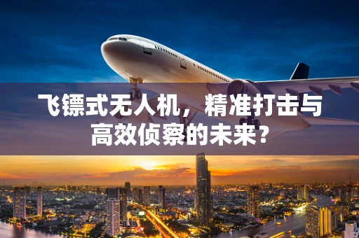 飞镖式无人机，精准打击与高效侦察的未来？